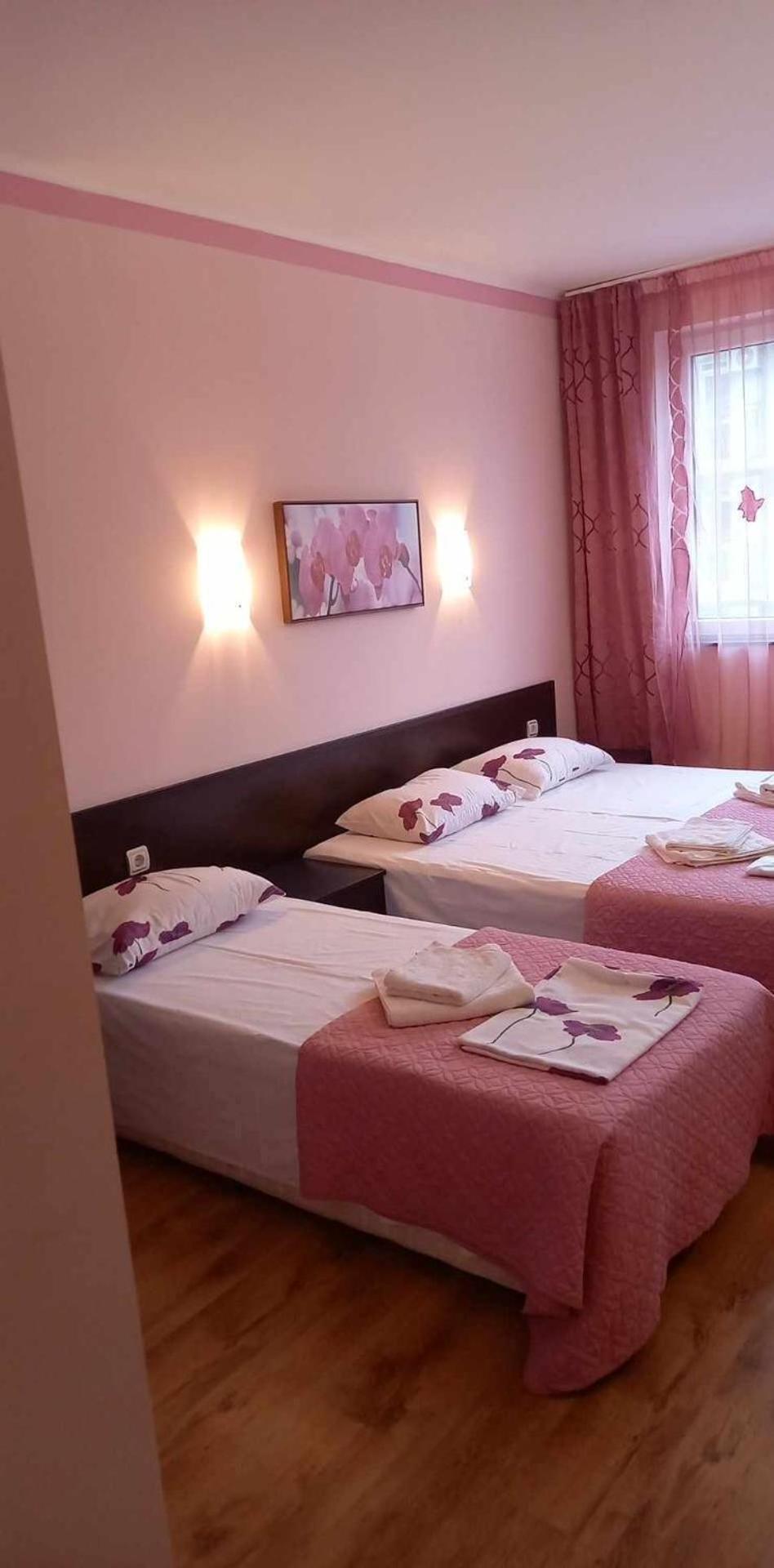 Central Plaza Apartment Slăntjev Brjag Exteriör bild
